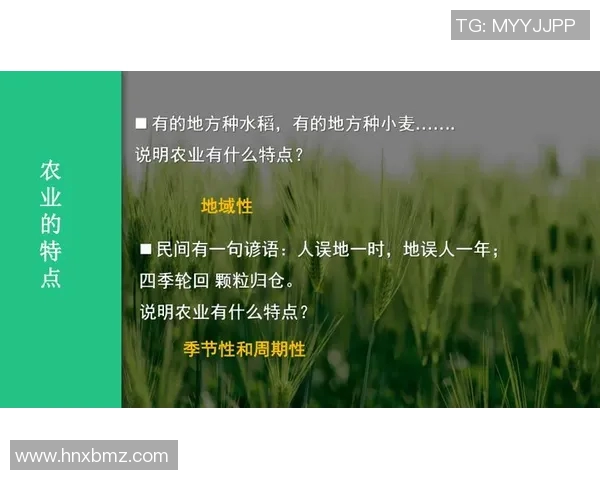 现代大米种植技术创新与可持续发展策略探析